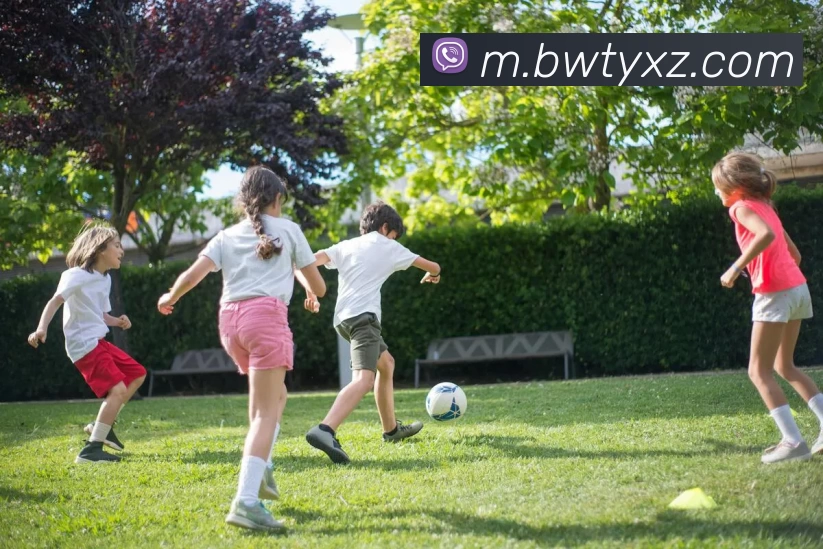 必威体育App发展历程